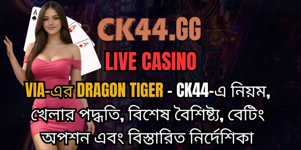 Via-এর Dragon Tiger – CK44-এ নিয়ম, খেলার পদ্ধতি, বিশেষ বৈশিষ্ট্য, বেটিং অপশন এবং বিস্তারিত নির্দেশিকা 13 dragon & Tiger Live CK44